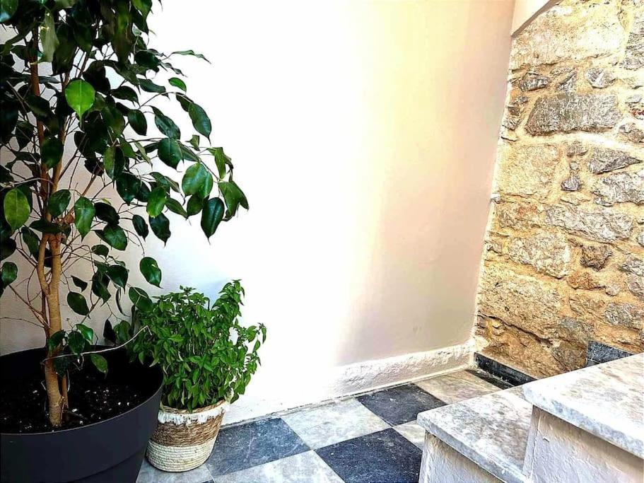 Ammoudara'S Apartments Rooftop Kalymnos Town Екстер'єр фото