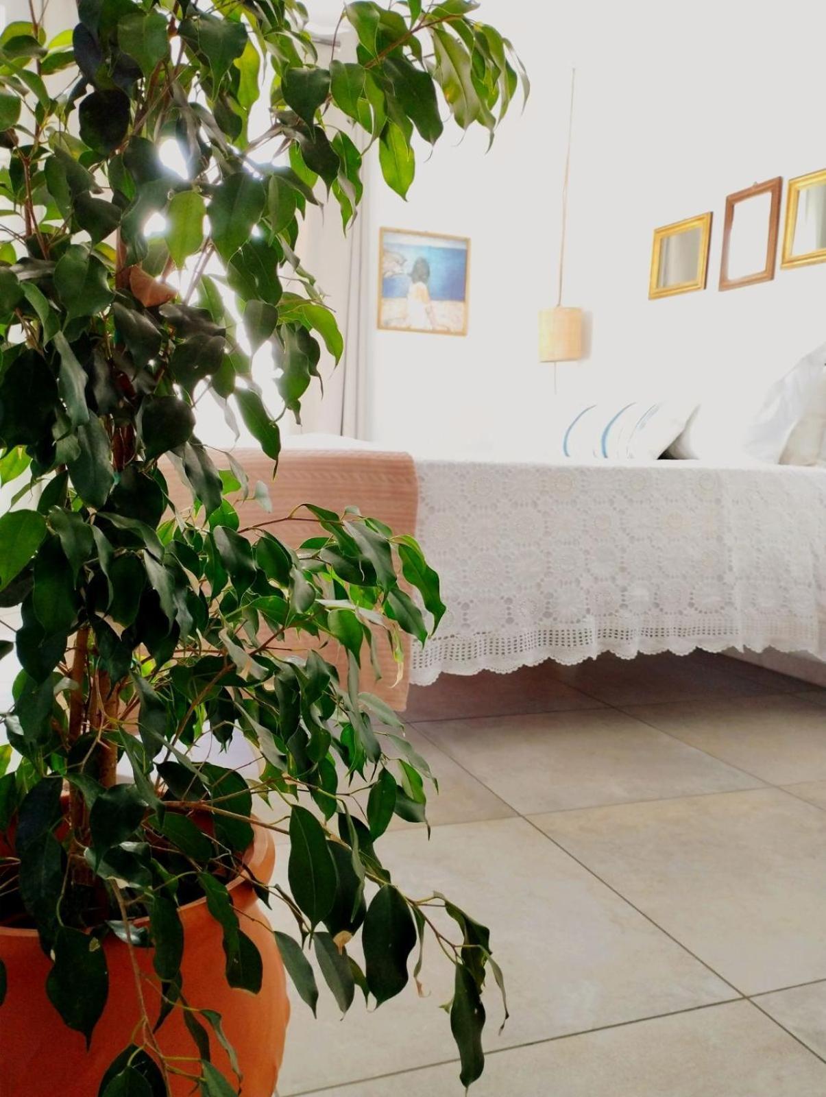 Ammoudara'S Apartments Rooftop Kalymnos Town Екстер'єр фото